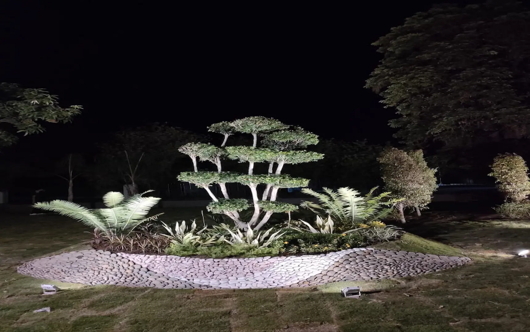 Garden with tranquil water feature and stone pathway