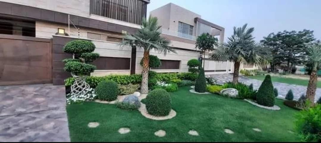 Wildflower meadow with tall grasses and wildflowers