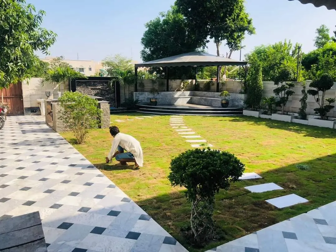 Rock garden with large boulders and small plants