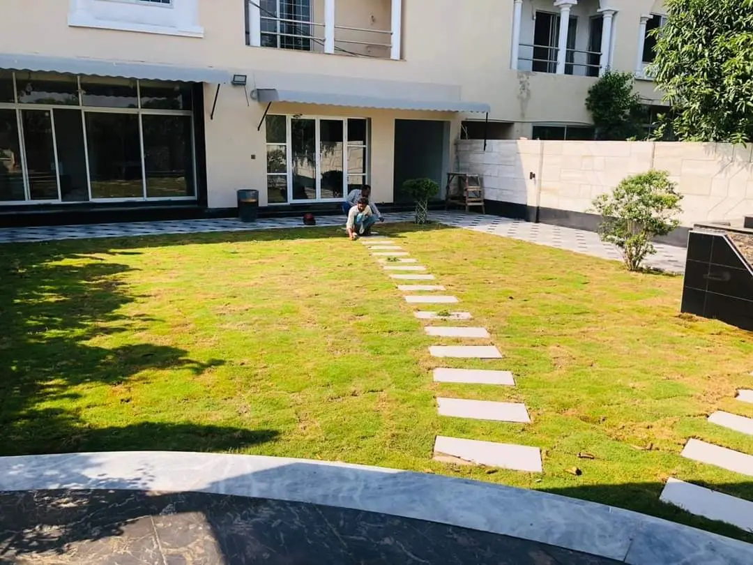 Water garden with a pond and waterfall