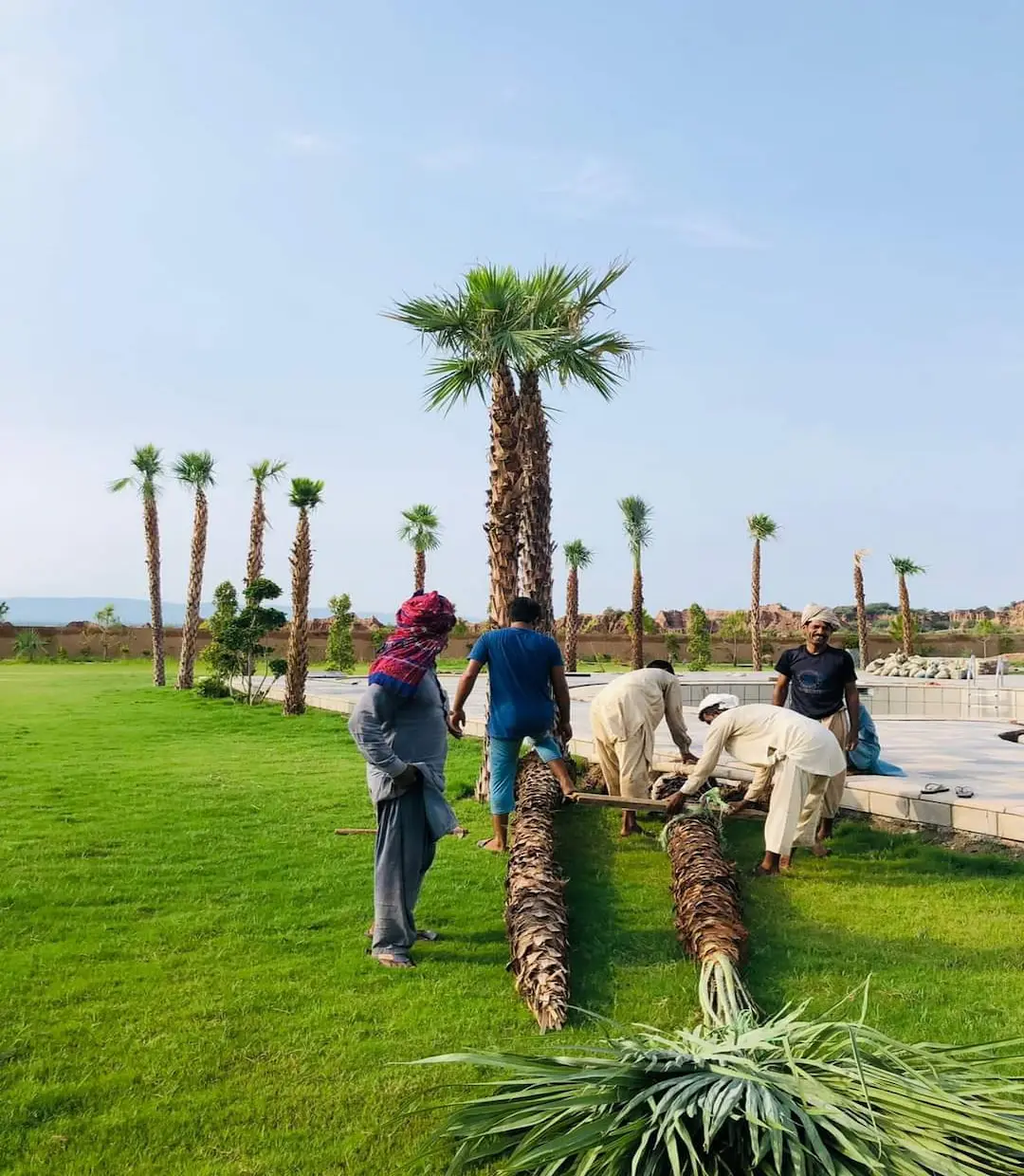 Secret garden with a central lawn and flower beds