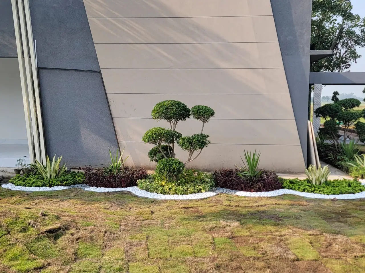 Rose and lavender planting borders